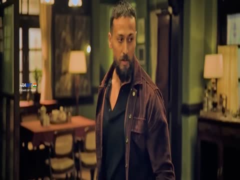 Baaghi 4 2025 Hindi thumb