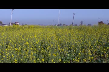 Jatts in Golmaal 2013 thumb