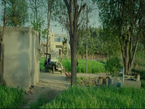 Kabutrabaaz 2025 Punjabi thumb