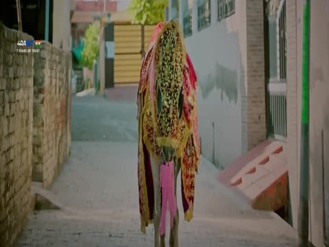 Punjabi Aa Gaye Oye 2025 Punjabi thumb